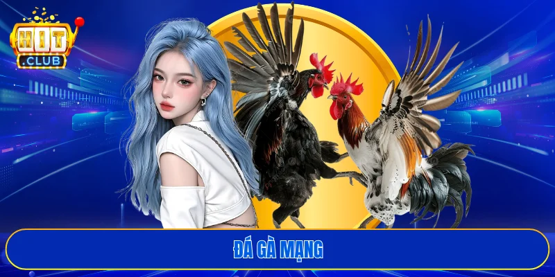 Đá gà mạng