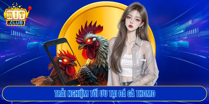 Trải nghiệm tối ưu tại đá gà Thomo